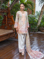 Zainab Chottani Tahra Embroidered Lawn Unstitched 3Pc Suit D-06 PERNIA
